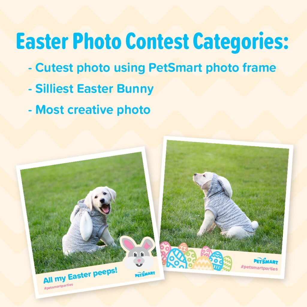 Easter photo contest