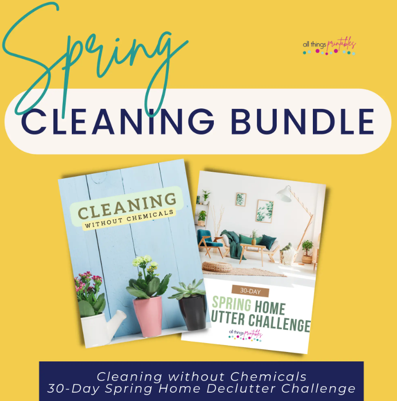 Spring cleaning bundle
